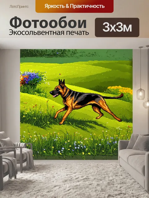 Фотообои бельгийская овчарка малинуа