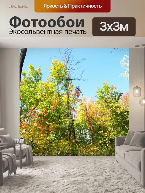 Фотообои Осенние деревья