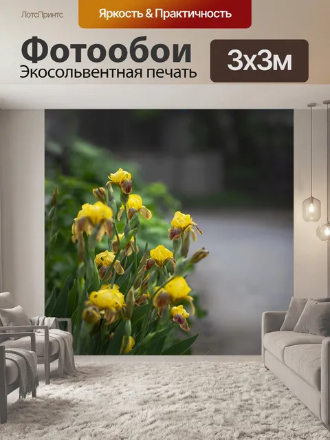 Фотообои Орхидея