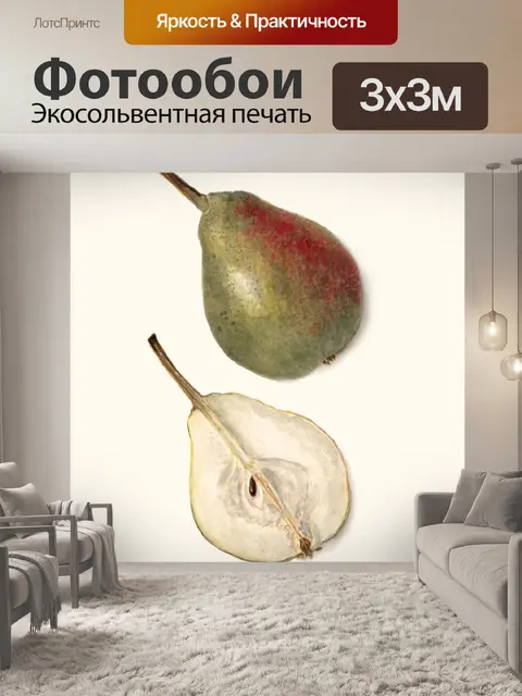 Фотообои Плоды груши винтажные