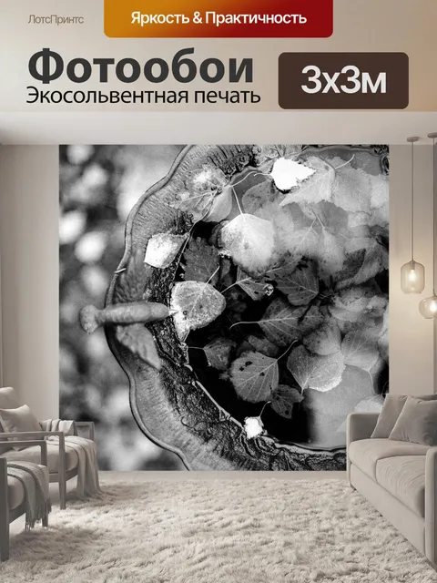 Фотообои Птица ванна