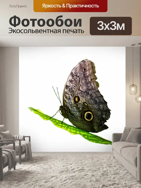 Фотообои Бабочка на лист