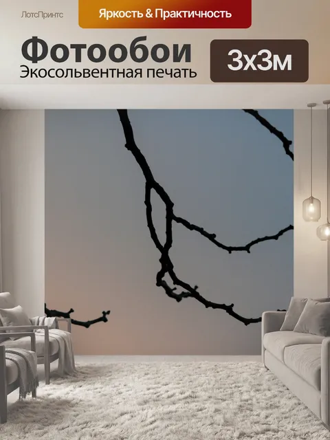 Фотообои Ветки в сумерках