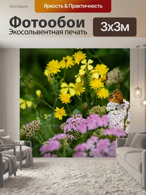 Фотообои Цветы, бабочка, насекомое