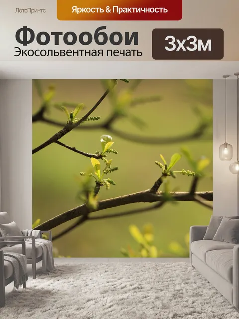 Фотообои Ветви