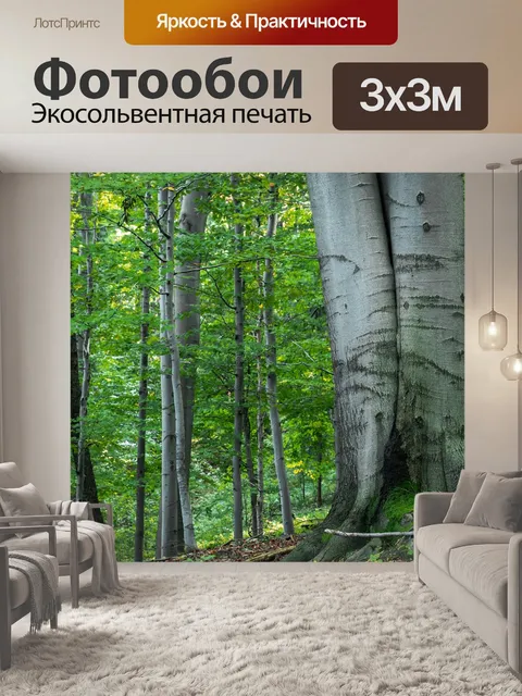 Фотообои Лес
