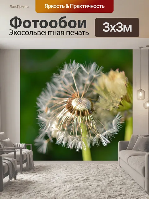 Фотообои Одуванчик