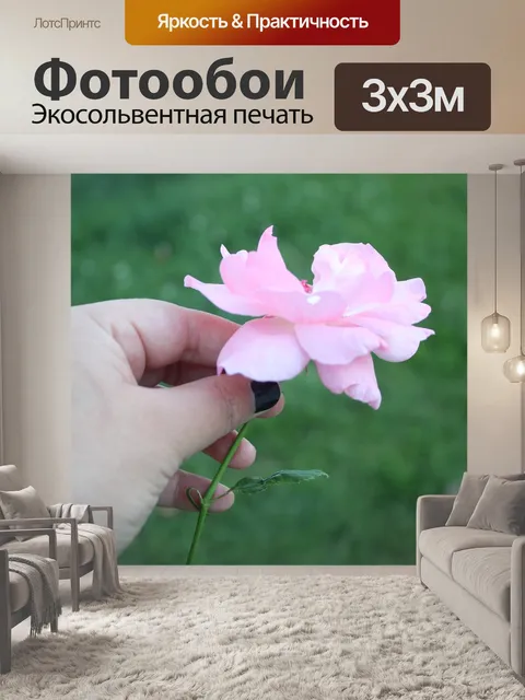 Фотообои Роза