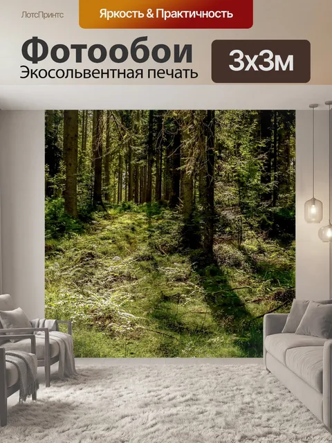 Фотообои Лес