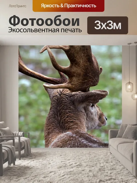 Фотообои Лес