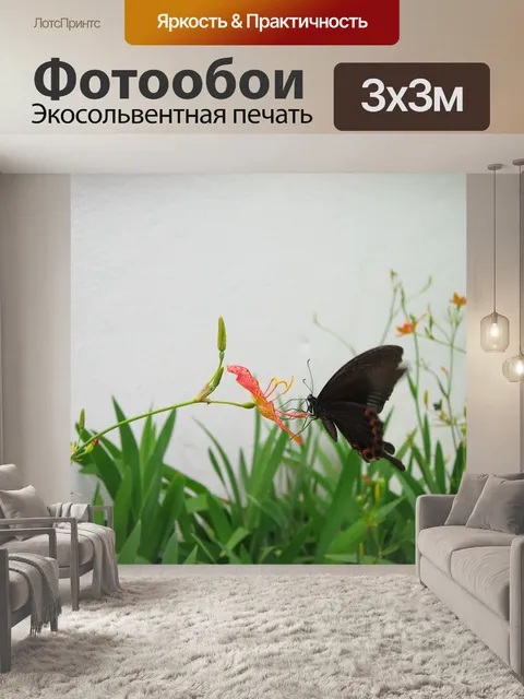 Фотообои Бабочка