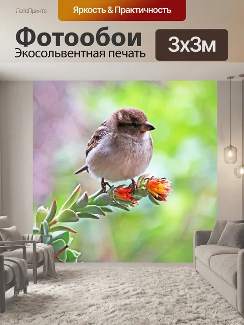 Фотообои Птица