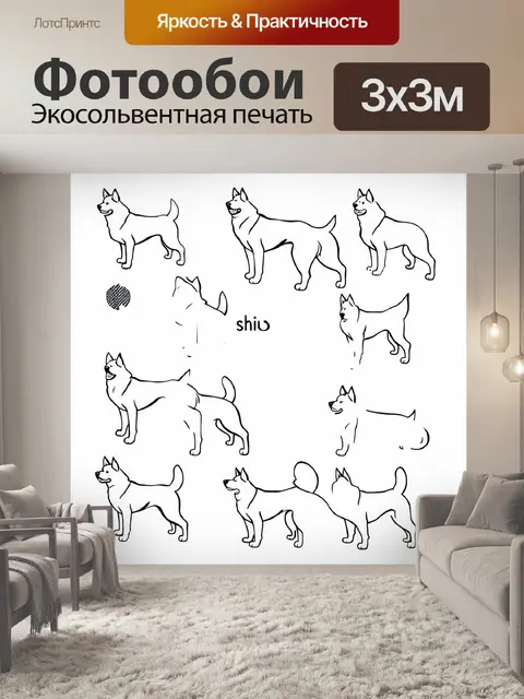 Фотообои собаки сиба-ину на белом фоне, представленные в минималистском стиле