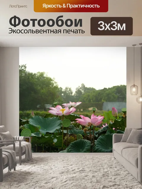 Фотообои Лотос