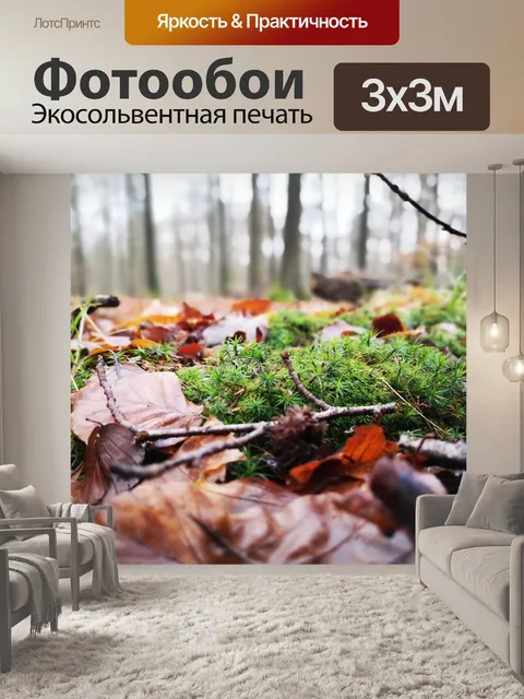 Фотообои Лес