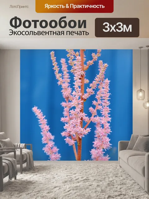 Фотообои Трава