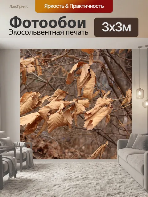 Фотообои Осенние листья