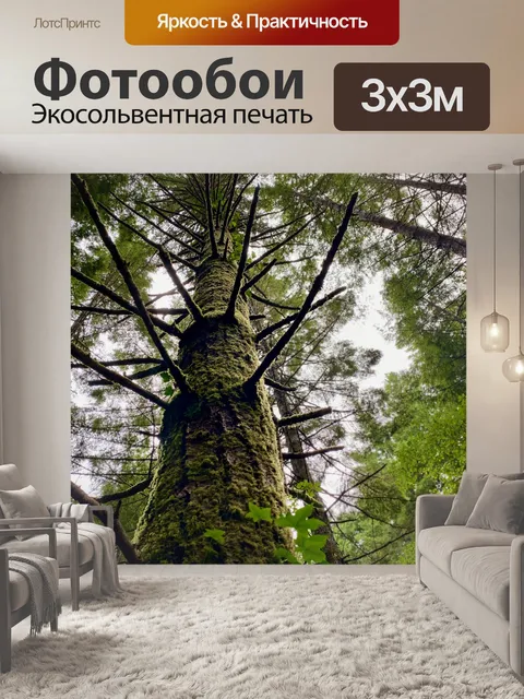 Фотообои Мингус Дерево