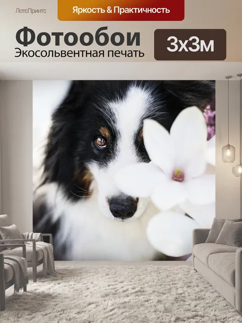 Фотообои Собака