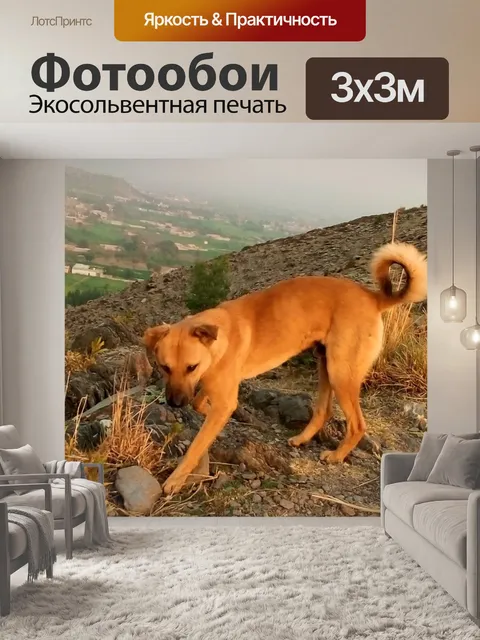 Фотообои Домашний питомец