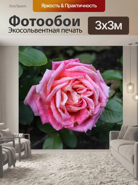Фотообои Розы