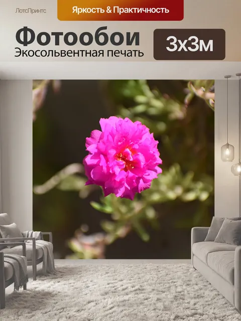 Фотообои Белый