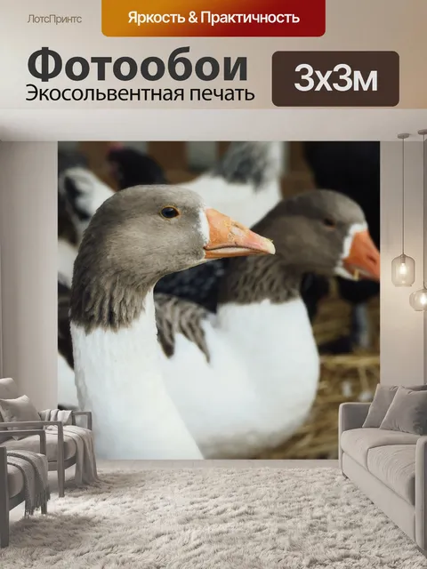 Фотообои Гусь
