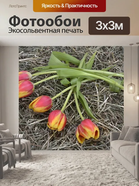 Фотообои Тюльпаны