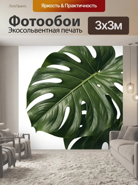 Фотообои Тропический лист монстеры