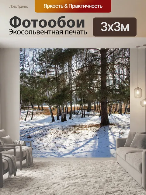 Фотообои Береза