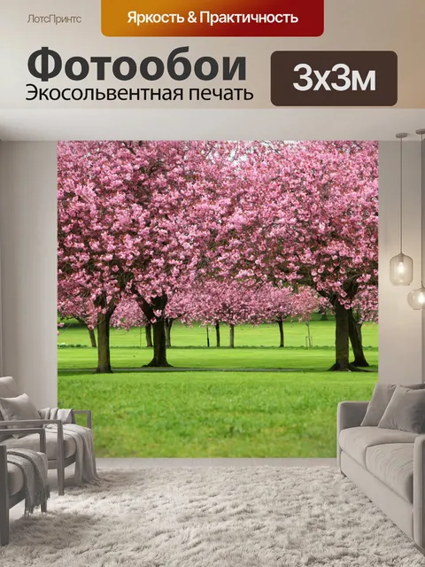 Фотообои сакура деревьев
