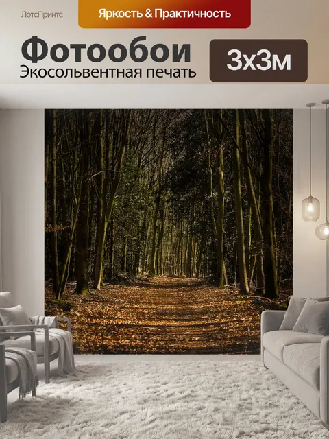 Фотообои Дорожка