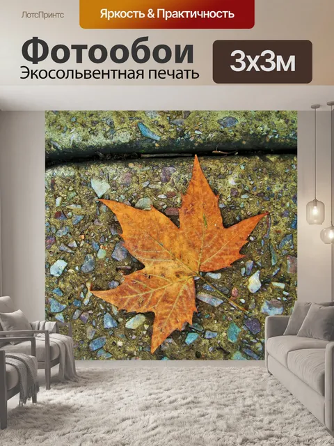 Фотообои сухой платан лист