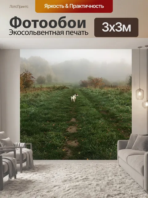 Фотообои Утро