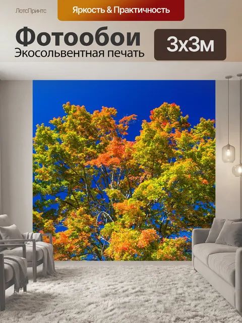 Фотообои осенняя крона дерева