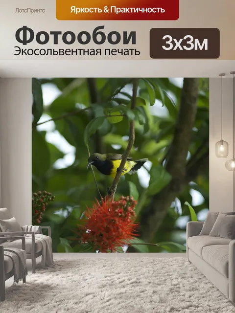 Фотообои Птицы едят розничная линден