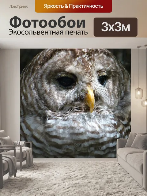 Фотообои Животные