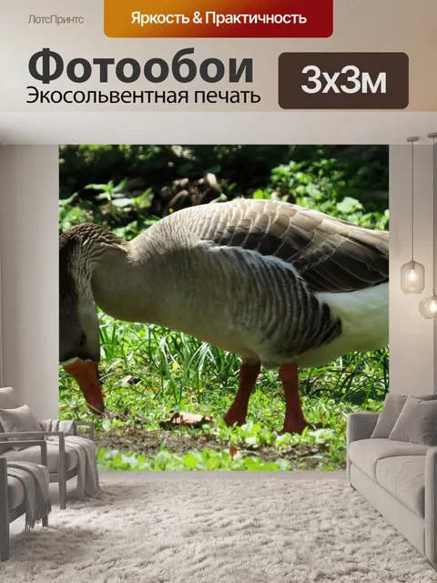 Фотообои Природа