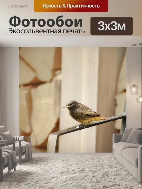 Фотообои Птица
