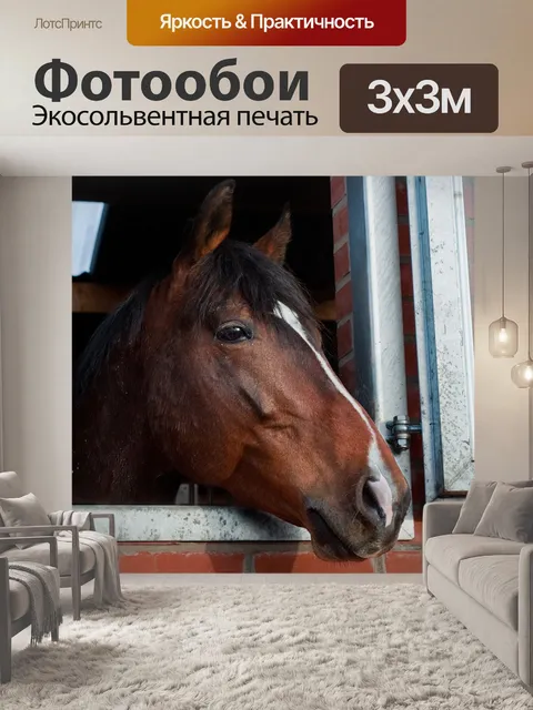 Фотообои Лошадь
