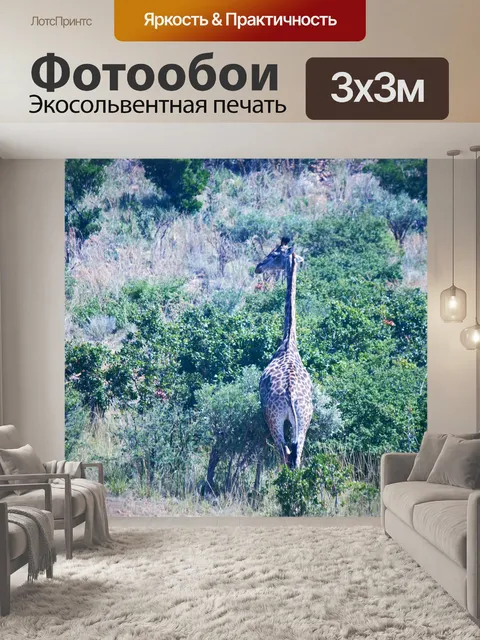 Фотообои жираф со спины в африке