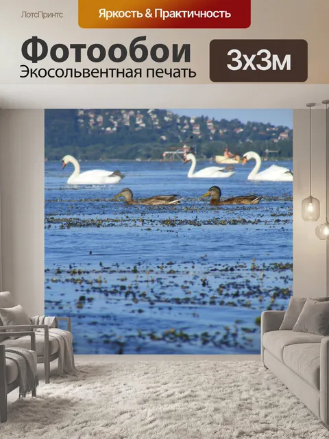 Фотообои Дикие птицы