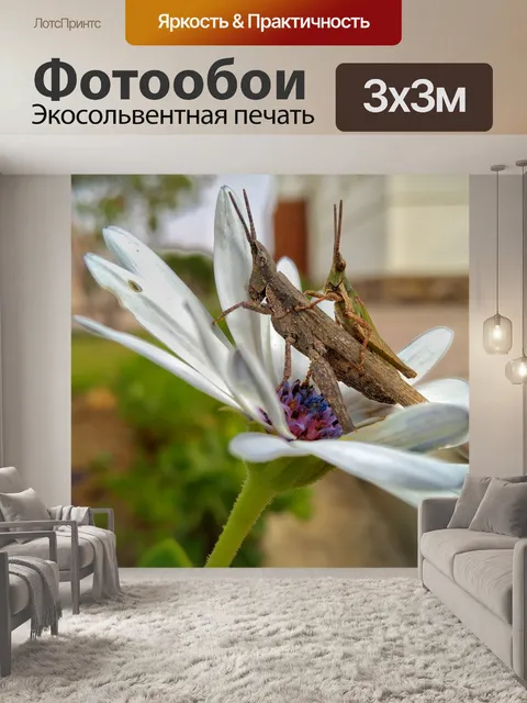 Фотообои Цветы