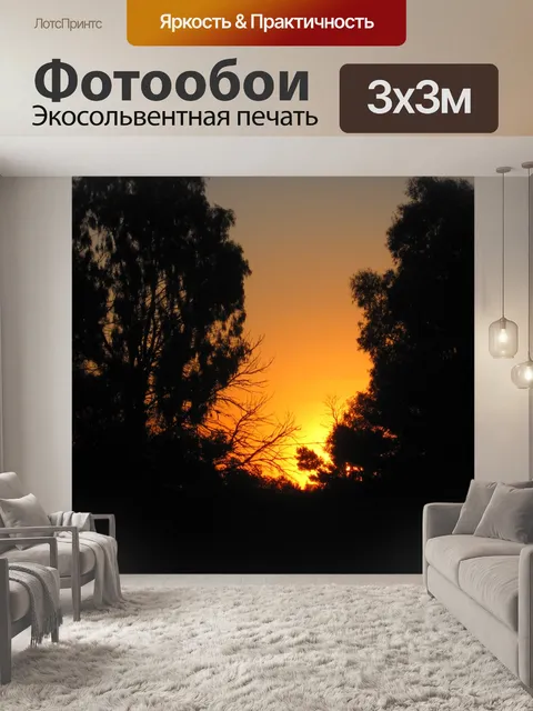 Фотообои высокие деревья, обрамляющие закат