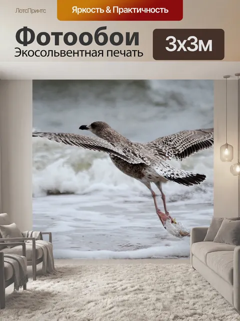 Фотообои Птица