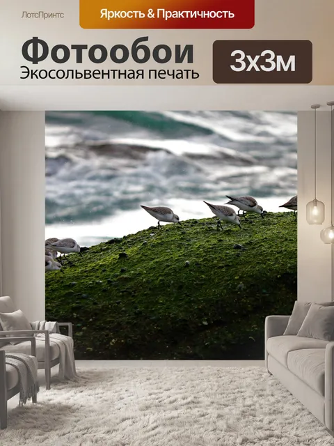 Фотообои Птицы