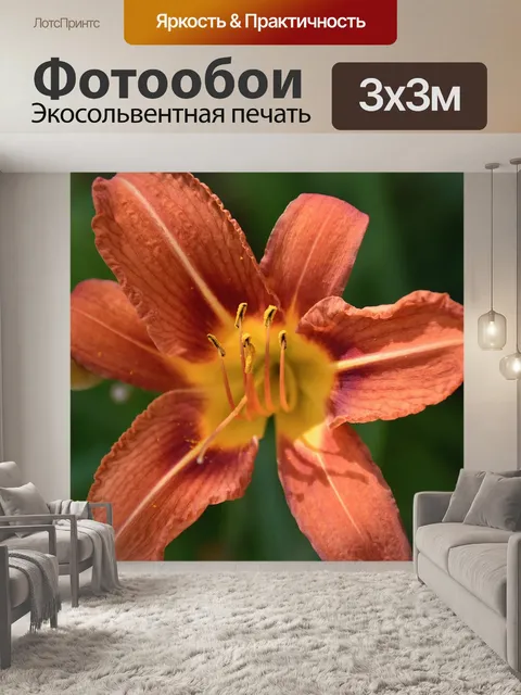 Фотообои Цветок