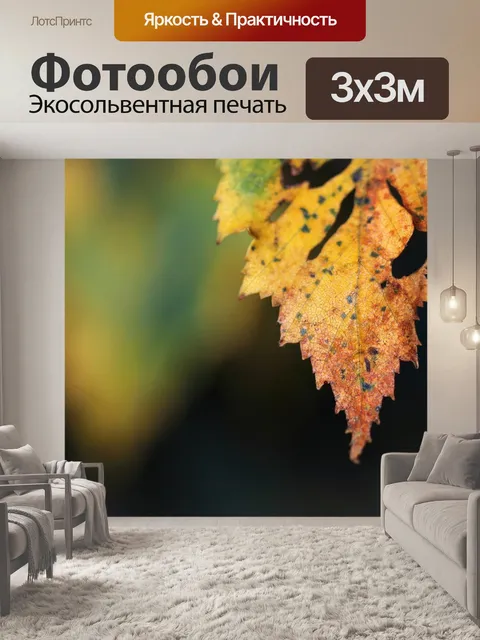 Фотообои Осень