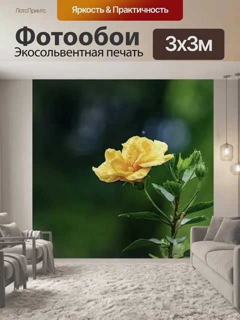 Фотообои Цветок