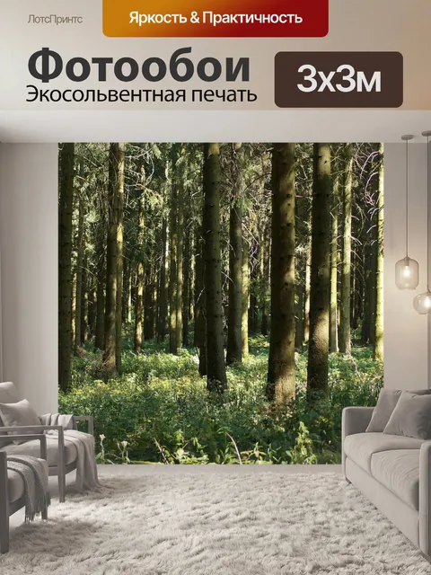Фотообои Лес